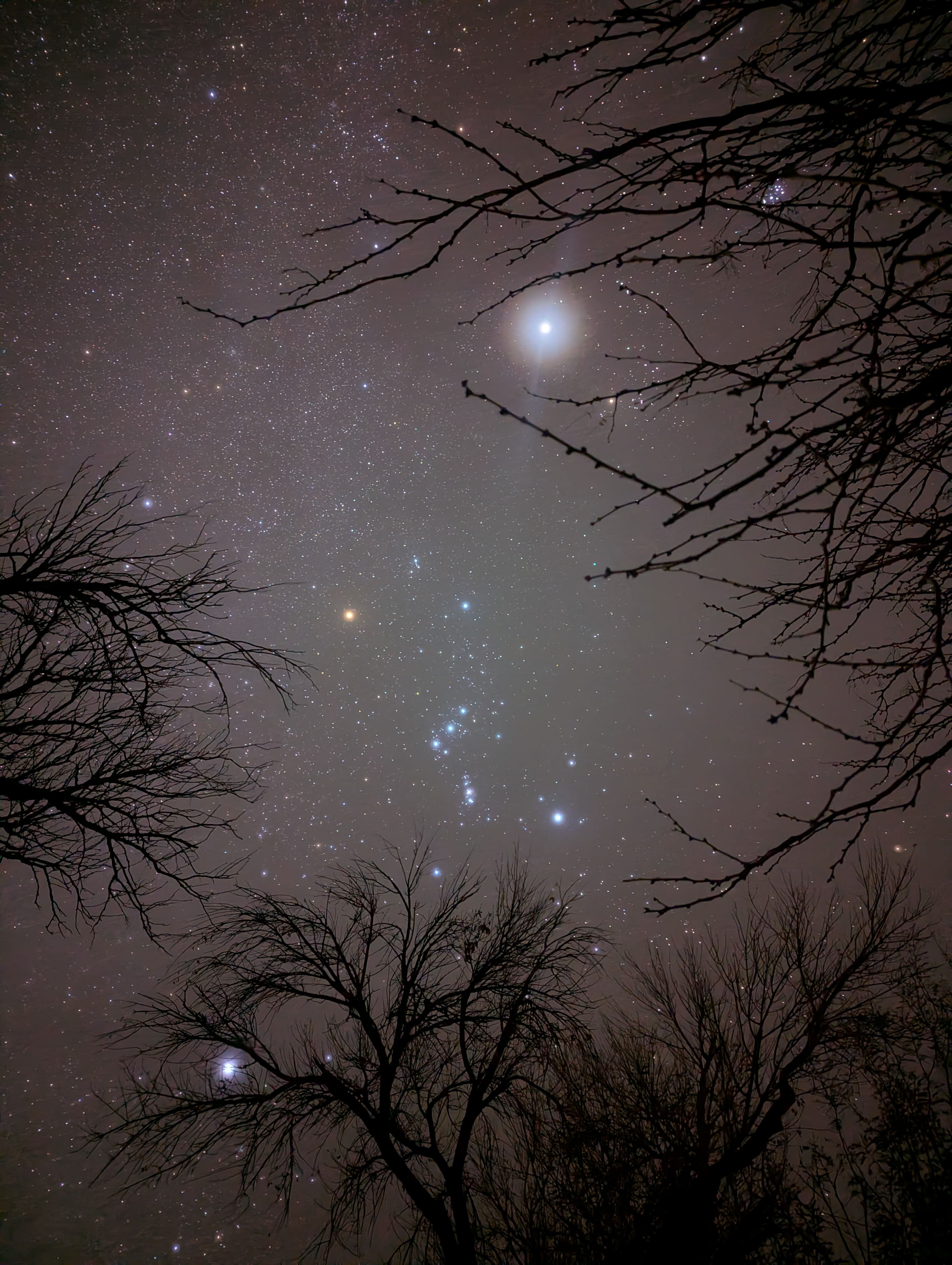 Beautiful night sky over Big Bend National Park