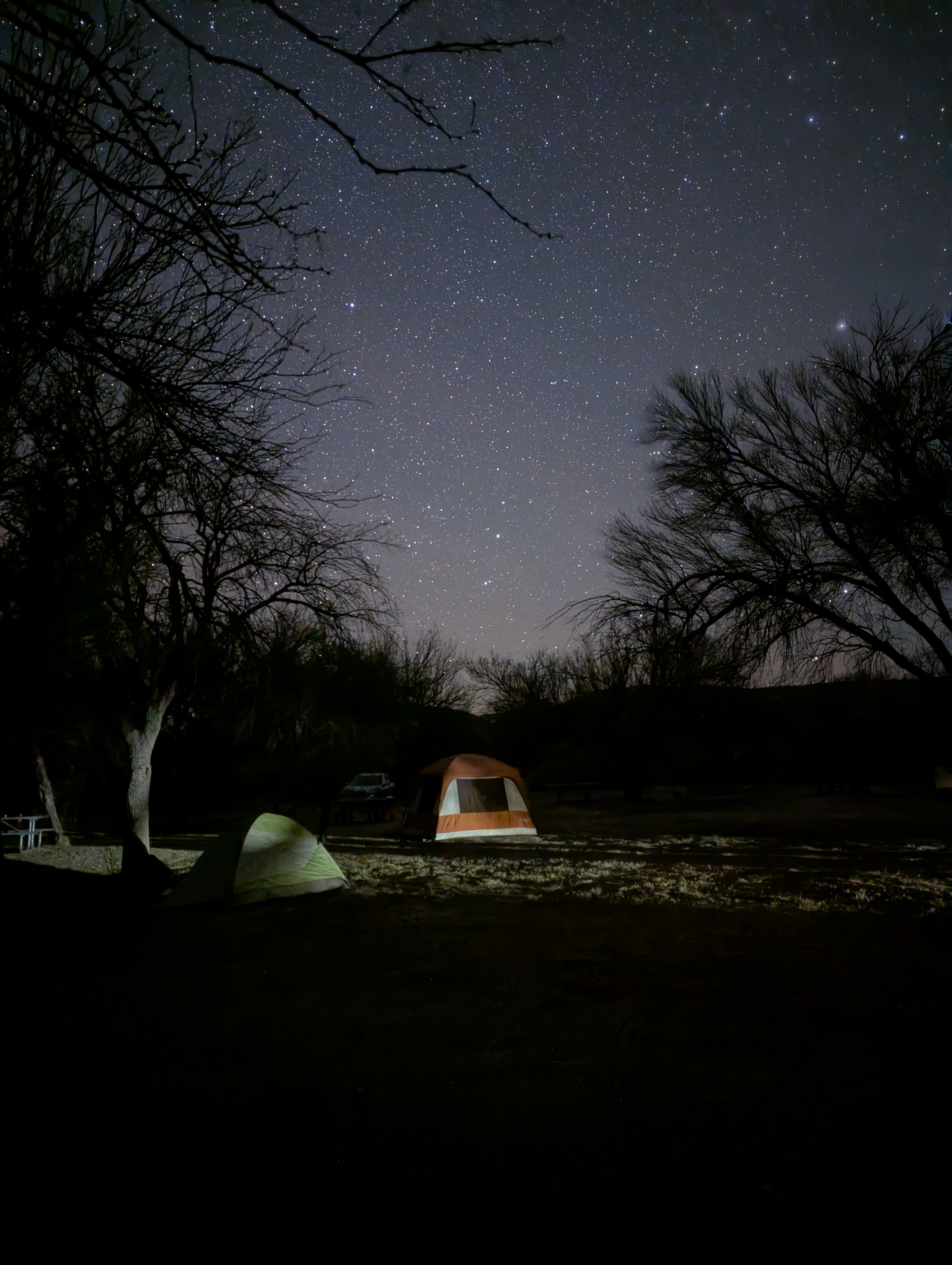 Camping in Big Bend National Park