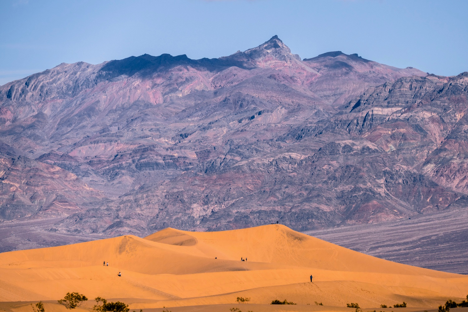 Southern California's Deserts: Death Valley and Joshua Tree